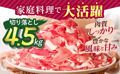 宮崎県産豚肉 切り落とし4.5kg