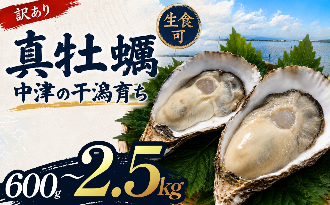 
                  【訳あり】殻付き真牡蠣 選べる 内容量 600g ～ 2.5kg | 牡蠣 カキ かき 真牡蠣 生食用 殻付き 海鮮 魚介 海のミルク 1.2kg 1.8kg おつまみ おかず 訳あり 家庭用 大分県 中津市
                
