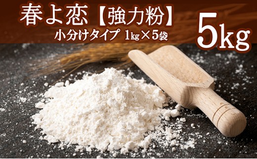 
北海道共和産【春よ恋】強力粉1kg×5袋(計5kg)
