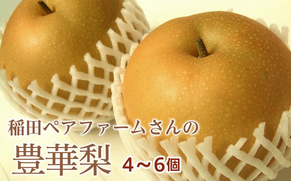 【価格変更・要確認】稲田ペアファームの豊華梨（ゆたかなし）（1）【5～6玉入り】