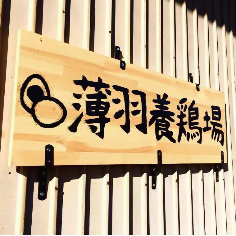 たまご 大容量 75個 黒麹育ちの赤たまご BC008