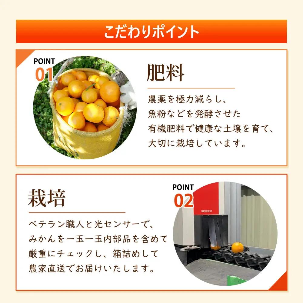 ［先行予約］プレミアム 有田みかん5kg+250g（傷み補償分）［2026年10月初旬から2027年1月末日頃順次発送予定］［IKE250］
