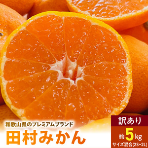 【2026年先行予約】ご家庭用 田村みかん サイズ混合(2S～２L)  約5kg _  わけあり 訳あり 和歌山プレミアムブランドみかん 小玉 中玉 大玉 蜜柑 ミカン フルーツ 果物_AB7301