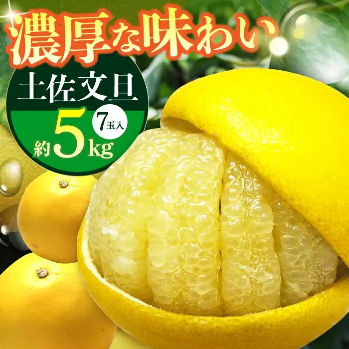 【先行予約】 南国高知温室土佐文旦 約5kg 7玉〈2026年11月中旬〜2027年2月中旬頃発送〉/ 文旦 ぶんたん 5kg 5キロ 温室 果物 フルーツ デザート 柑橘 南国 土佐 高知 名物 名産  【フルーツショップオザキ】[ATAH016]