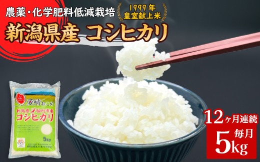 16-K5Z【12ヶ月連続お届け】新潟県胎内市産コシヒカリ5kg