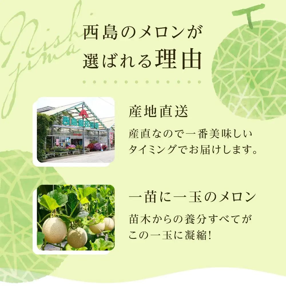【3回定期便】マスクメロン（家庭用） 2玉入 青肉品種 高級メロン！ ／ マスクメロン 果物 フルーツ ギフト 農家直送 NE1300