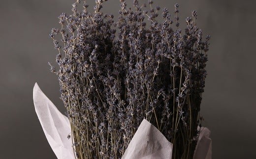 【2025年7月収穫】ドライフラワー　おかむらさき