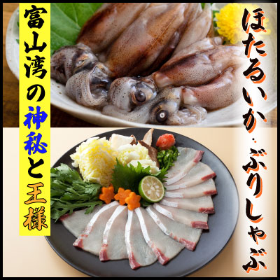 【ふるさと納税】 〈父の日ギフト受付可能〉鮮度そのまま！『ぶり、ほたるいか』生冷凍セット