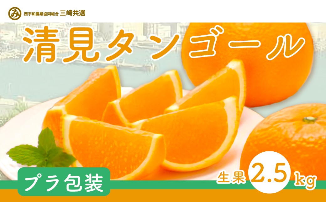 
                  【先行予約】清見タンゴール（Pプラ包装・生果2.5kg）※離島への配送不可（2027年6月上旬～6月中旬頃より順次発送予定） 【 ふるさと納税 人気 おすすめ ランキング 柑橘 みかん ミカン 清見 清見タンゴール mikan 蜜柑 果物 生果 フルーツ 愛媛県産 愛媛県 伊方町 送料無料 】 IKTBD006
                