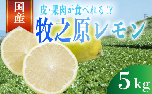 【事前受付】レモン 5kg れもん 檸檬 Lemon 柑橘類 柑橘 フルーツ 果物 酸っぱい 果肉 酸味 甘み 璃の香 防腐剤不使用 牧之原レモン 静岡県 牧之原市 果肉食べられる 自宅用 贈答品 レモンスカッシュ レモンパウンドケーキ レモンサワー くだもの 家庭用 静岡県産 農家直送 産地直送 産直 ビタミン ビタミンC クエン酸 グリーンレモン イエローレモン おすすめ 美味しい りのか