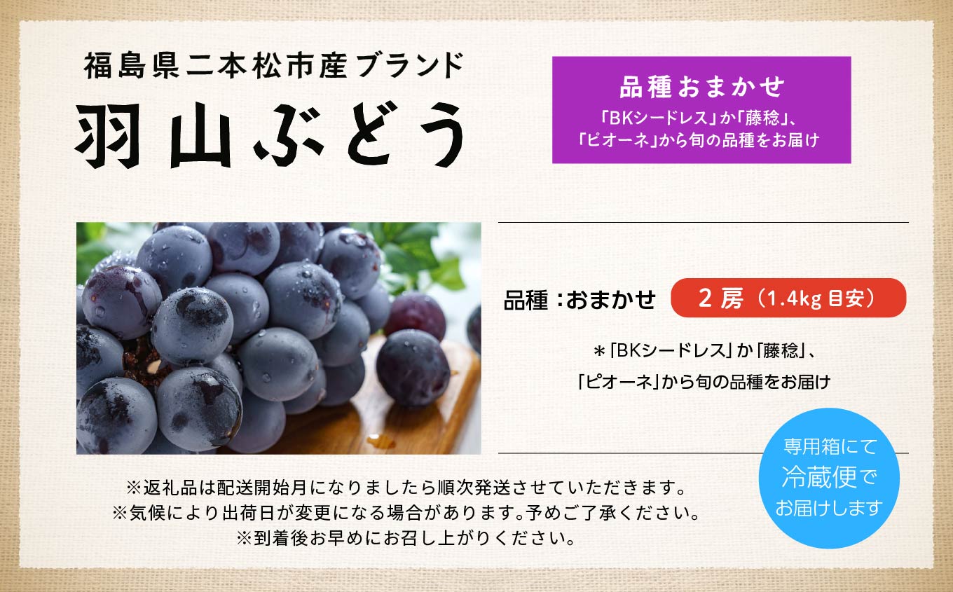 《2025年9月初旬以降発送》羽山のぶどうおまかせ 2房（1.4kg）【羽山果樹組合】