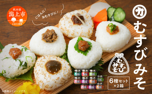むすびみそ 6種 2箱 瓶詰め 詰め合わせ お取り寄せ 化粧箱 ギフト セット みそ 味噌 おかず おかず味噌 ご飯のお供 ごはんのお供 おむすび おにぎり お弁当 にく味噌 うめ味噌 みょうが しそ味噌 ばっけ味噌 鉄火味噌 食べ比べ 送料無料 【三浦醤油店】