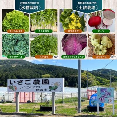 ふるさと納税 与謝野町 【2027年1月中旬以降順次発送】冬のお野菜 おすすめセット(3〜5種)【京都府与謝野町】 |  | 01