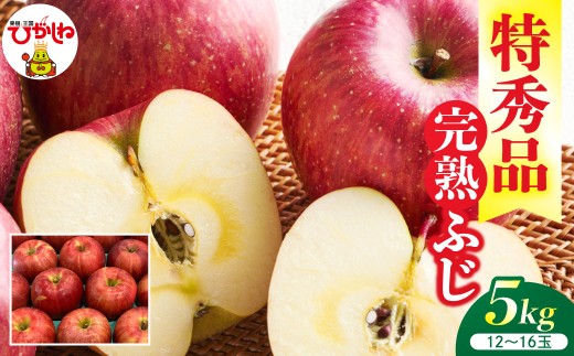 【2026年産】リンゴ 完熟ふじ 5kg（12～16玉） 特秀品 山形県 東根市 ティスコファーム提供 hi089-006-r8 果物 フルーツ くだもの りんご リンゴ 林檎 アップル お取り寄せ グルメ 秋 旬 お取り寄せグルメ 期間限定 産地直産