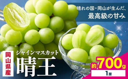 【先行予約】 岡山県産 シャインマスカット 晴王 700g 1房 株式会社はちや《7月上旬‐8月下旬頃出荷》岡山県 浅口市 ぶどう 葡萄 フルーツ ギフト 果物 デザート 国産【配送不可地域あり】