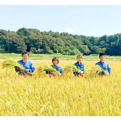 ふるさと納税 古河市 スプリングライス ミルキークィーン (無洗米)10kg | 米 こめ コメ 10キロ _BI37 |  | 02