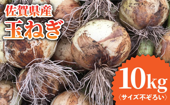 
            【先行予約】【訳あり】＜2025年3月下旬以降発送＞佐賀県産 玉ねぎ 10kg【八丁屋】 [HAO007]
          