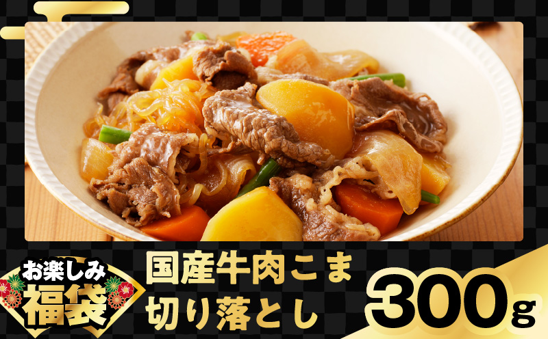 お楽しみ福袋 4種 2kgセット（牛肉 切り落とし／牛ハラミ／豚肉 スペアリブ／鶏肉）【氷温熟成×極味付け 焼肉 焼くだけ 食べ比べ お楽しみ 簡単調理 期間限定】 mrz0090