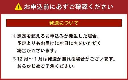特大 むきエビ 背ワタなし 600g 【入金確認後7営業日以内に発送】 剥き海老 むきえび むき海老 むき身 海鮮 海産物 魚介類 甲殻類 海の幸 大阪府 阪南市