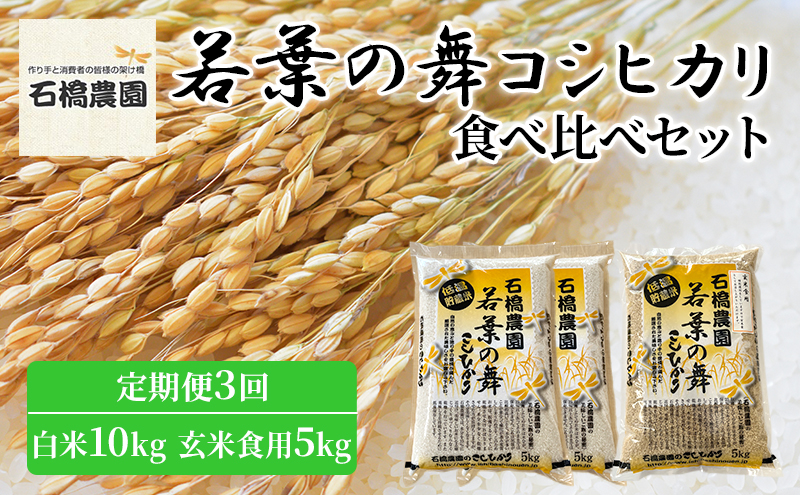 
米 若葉の舞 コシヒカリ 白米10Kg玄米食用5Kg 食べ比べセット 定期便3回 こしひかり お米 白米 玄米 セット 食べ比べ 定期便 精米 千葉 千葉県 低温保存 [№5346-0794]
