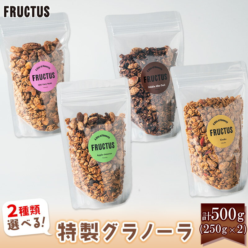 【ふるさと納税】【FRUCTUS】全4種類から2種類選べる グラノーラ 各250g 計500g FR009-0 ～ ナッツ アップルシナモン カカオ きなこ ～【福岡県 須恵町】