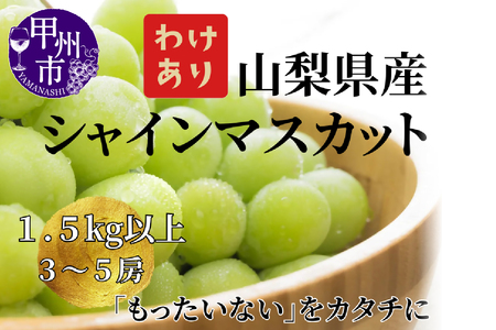 【訳あり】山梨県産旬のシャインマスカット 1.5kg以上（3～5房）【2025年発送】（LKS）B12-850【シャインマスカット 葡萄 ぶどう ブドウ 令和7年発送 期間限定 山梨県産 甲州市 フルーツ 果物】