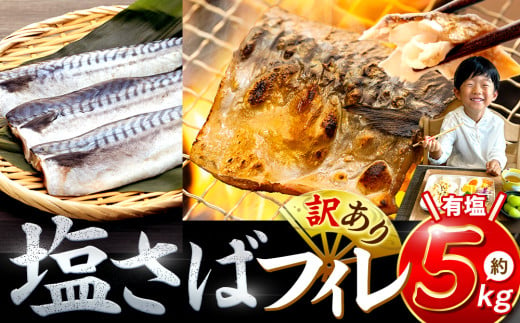 訳あり 塩サバ 約5kg 冷凍 鯖 塩 さば 魚 さかな 海鮮 海産物 おかず ご飯 おすすめ 人気 愛知県 南知多町 【配送不可地域：北海道･沖縄県･離島】