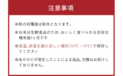 2026年産 京都・久美浜三谷産 丹後コシヒカリ「三谷幸米」 玄米 10kg ふるさと納税 コシヒカリ 新米 令和8年産 ふるさと納税 玄米　MM00023