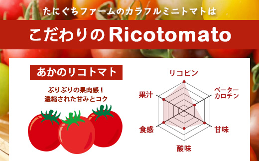 【4回定期便】【先行予約】完熟ミニトマト 【少量パック】120gx3p　たにぐちファーム 完熟ミニトマト 360g とりこになるトマト 野菜 とまと トマト リコピン 佐賀産 佐賀県 鹿島市　E-16