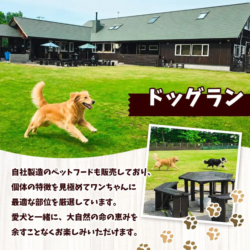 【 ふるなび限定 】 わんdeere エゾ鹿 スティックジャーキー 大容量セット （ 計750g ） 犬用おやつ 犬用ジャーキー おやつ ジャーキー ドッグフード ペットフード 犬 いぬ ペット 鹿肉