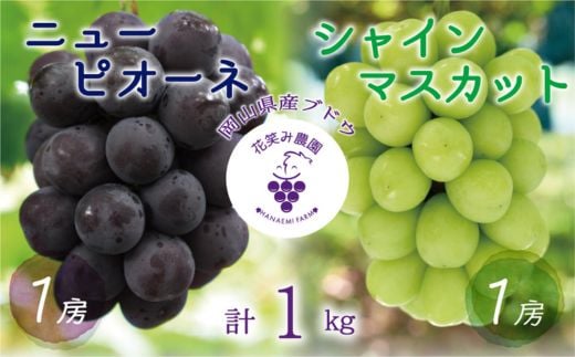 
                  岡山　花笑み農園の『ニューピオーネ&シャインマスカット』1kg(2房)PS-1_ニューピオーネ シャインマスカット 食べ比べ 1kg 2房 ぶどう 送料無料 岡山県 津山市【1627783】
                