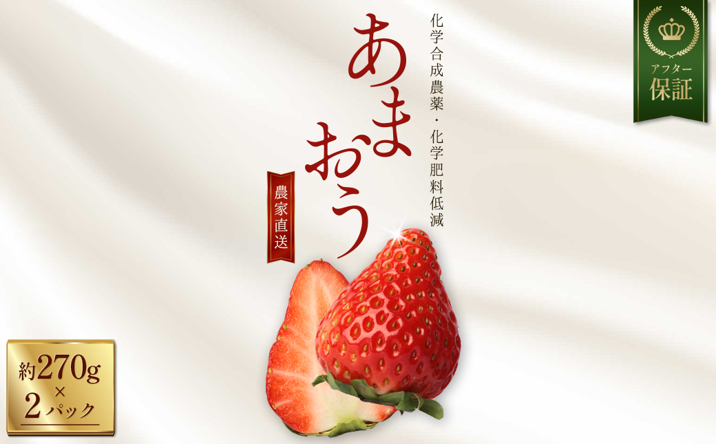 特別栽培 農家直送 あまおう 約270ｇ前後×2パック【数量限定】 3W30