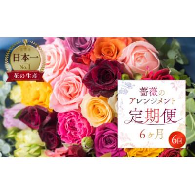 ふるさと納税 田原市 【毎月定期便】バラ20本(40cm)のアレンジブーケ全6回