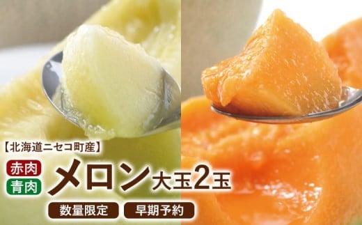 【北海道ニセコ町産】赤・青メロン大玉2玉セット ＜数量限定・2026年早期予約・7月下旬より出荷予定＞