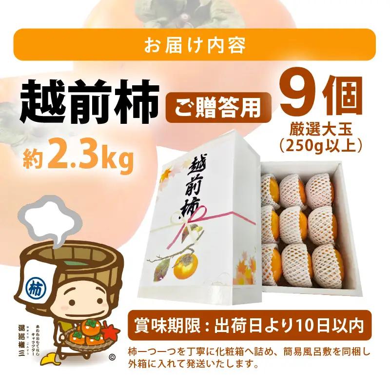 【先行予約】【2026年10月下旬～11月中旬に発送予定】秋の味覚を贈り物に！厳選「越前柿」大玉 9個（ご贈答用）／ 果物 フルーツ 産地直送 期間限定 ※2026年10月下旬～11月中旬に発送予定 