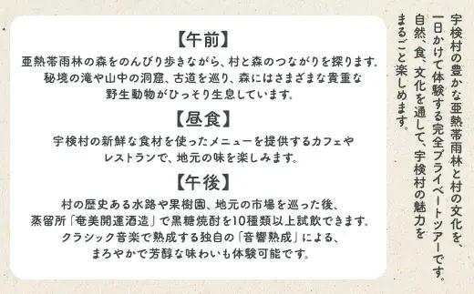 宇検村ジャングル＆村体験ツアー 4名様 奄美大島 宇検村 鹿児島県 旅行 自然 冒険 完全プライベート