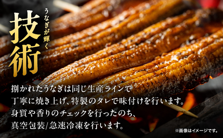 【期間限定】 鹿児島県 大隅産 うなぎ 蒲焼 4尾（400g） KN007-023 国産 本格 鰻 ウナギ 冷凍 惣菜 総菜 湯煎 レンジ 解凍 簡単調理 鰻丼 鰻重 ひつまぶし 魚 土用の丑 小分け