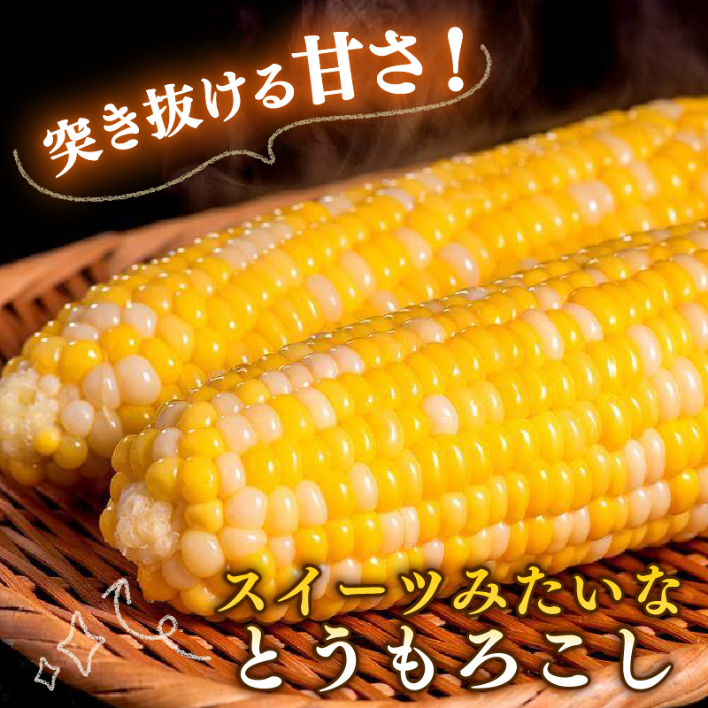 【2027年先行予約】南国フルーツコーン イエロー種 4kg(約8～11本) | ゴールドラッシュネオ とうもろこし トウモロコシ コーン スイートコーン フルーツとうもろこし もぎたて 新鮮 朝採れ