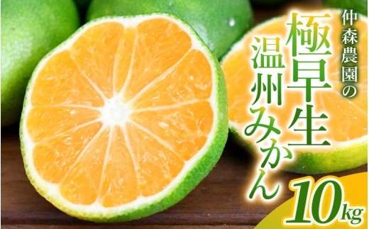 【数量限定】みかん 仲森農園の極早生温州みかん 約10kg | みかん ミカン 蜜柑 温州みかん 温州ミカン 柑橘 フルーツ 果物 くだもの 甘い 旬 人気 果汁 濃厚 ジューシー デザート 産地直送 農家直送 みかん 国産 お取り寄せ 新鮮 期間限定 季節限定 先行予約 おすすめ 三重県 熊野市【2026年9月下旬頃～10月下旬頃に順次発送】【nkmr0018】