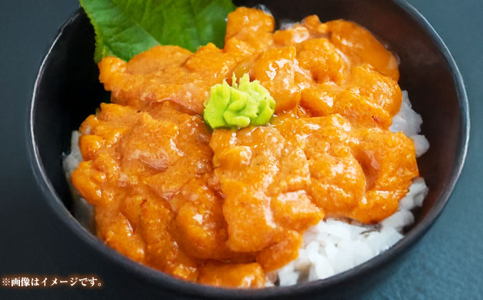 【冷凍】 壱岐産 うに丼セット ＆ アオリイカ 《壱岐市》 【一支國屋】海鮮 うに うに丼 いか イカ アオリイカ 刺身 お刺身 冷凍配送 [JCC025]