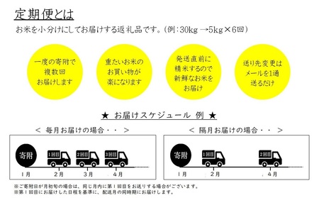 BG無洗米きぬむすめ・コシヒカリ食べ比べセット 10kg×3回 定期便 【隔月】 ［令和5年産］