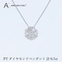 【ふるさと納税】アルカンシェル プラチナダイヤペンダント 計0.7ct プラチナダイヤ ペンダント 天然ダイヤモンド 輝き 華やか 個性を引き立てる ご褒美 ジュエリー 贈り物 ギフト 大阪府 泉佐野市 送料無料