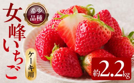希少ないちご ケーキ用 女峰いちご 約2.2kg【2026年1月上旬～2026年5月下旬配送】 372013_T006-122J