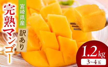 【期間・数量限定】宮崎県産訳あり完熟マンゴー1.2kg(3～4玉) マンゴー フルーツ 果物