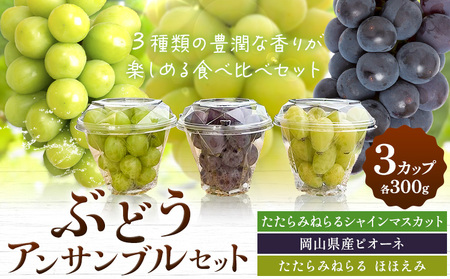 たたらみねらる アンサンブルセット 3カップ 各300g