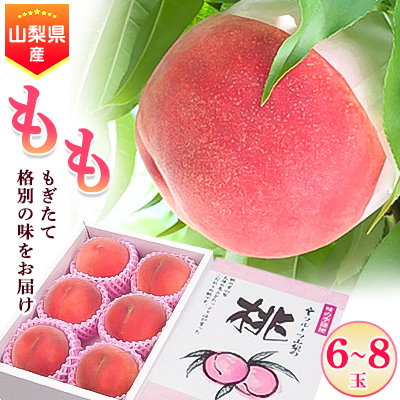 
                  ＜発送月固定定期便＞JAフルーツ山梨定期便 全3回【4012439】
                