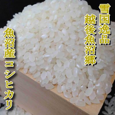ふるさと納税 魚沼市 【毎月定期便】雪国逸品 《無洗米》10kg　越後魚沼郷 魚沼産コシヒカリ全6回 |  | 03