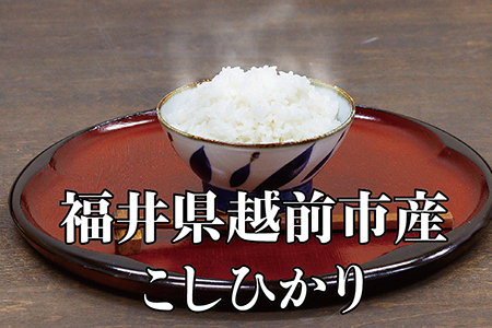 【定期便12回】令和6年度産 新米 こしひかり 6㎏ 合計72kg