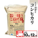 【ふるさと納税】定期便12ヶ月コシヒカリ精米10kg【金助農業株式会社】