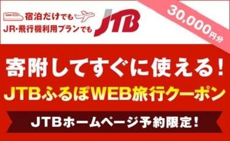 【みなべ町】JTBふるぽWEB旅行クーポン（30,000円分）